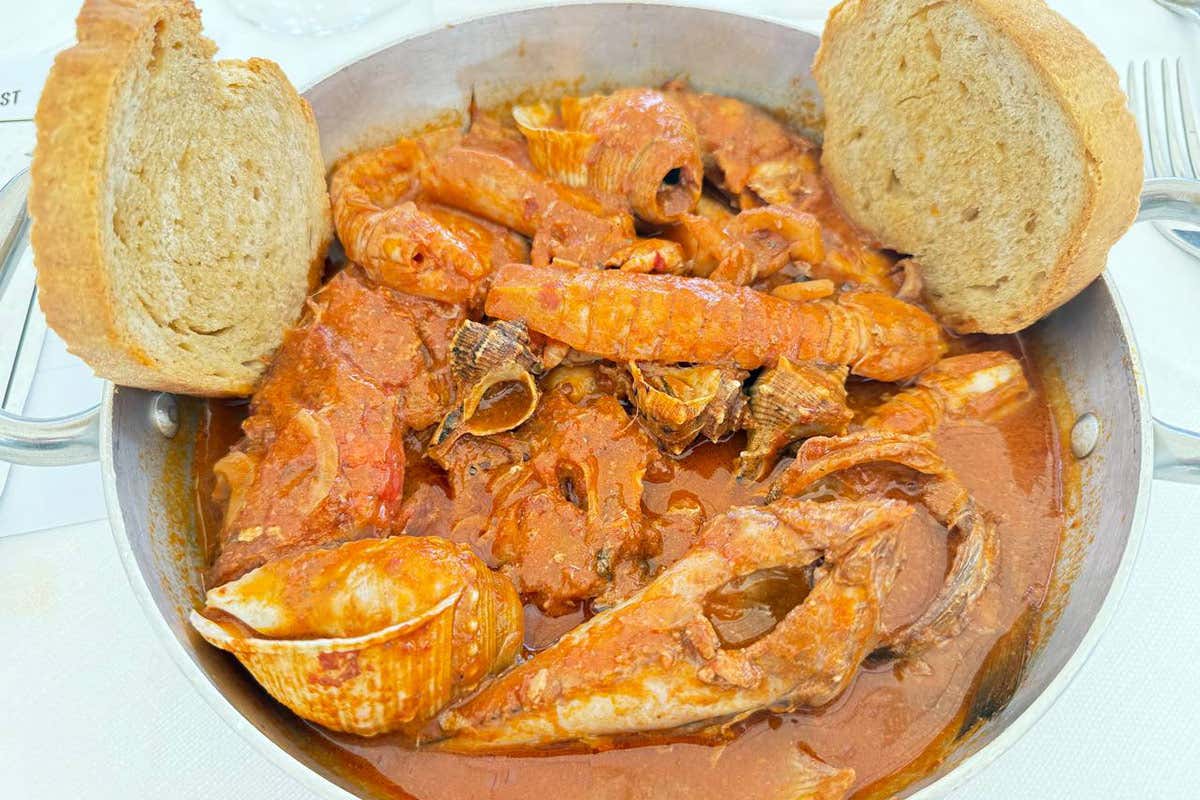 BrodettoFest 2025: Giuseppe Bizioli vince ancora con il suo Ciuppin ligure